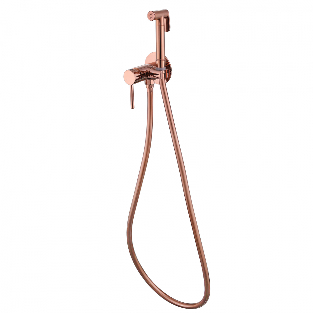 ��������� ABBER Wasser Kreis AF8125RG � ������������� �����, ������� ������