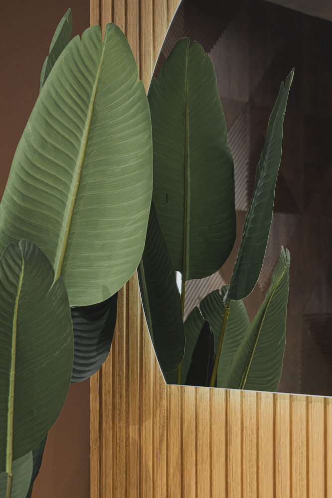 ������� ABBER Teil AG6504SR � ����������, ������������� �����������, ������