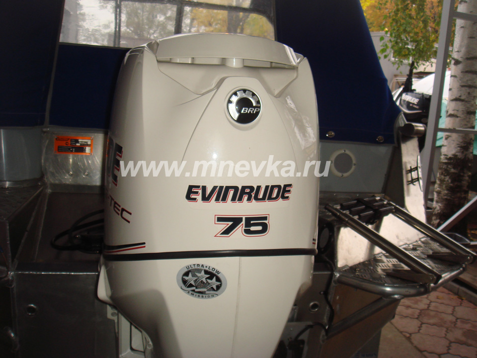  Evinrude 75 E-TEC