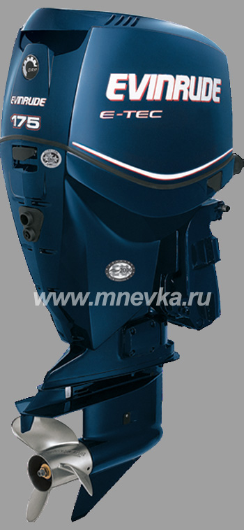 Evinrude E175 2012 Blue