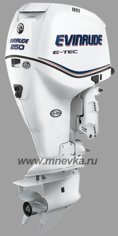   Evinrude E250 2012,  white